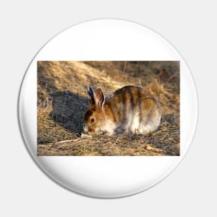 Tiger Hare Pin
