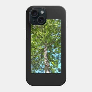 Tree in the park Phone Case