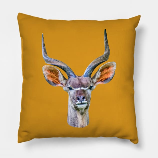 Kudu antelope Pillow by dalyndigaital2@gmail.com