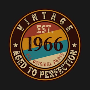 Vintage Aged to perfection est. 1966 All Original Parts T-Shirt