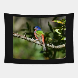 Painted Bunting Bird Photograph Notecard Tapestry