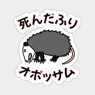 Fake dead opossum in Japanese Magnet