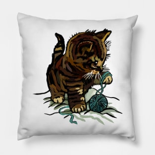 Cat playing Pillow