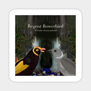 Regent Bowerbirds (text) Magnet