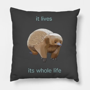 It Lives Its Whole Life Pillow