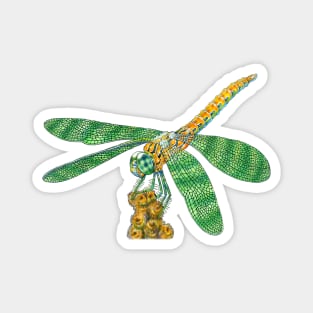 Dragonfly Magnet
