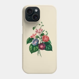 Morning-glory (Pharbitis hispida)- Botanical Illustration Phone Case