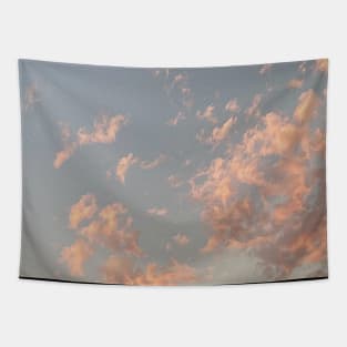 Pink clouds in the summer Tapestry