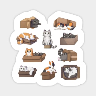 Lot of cats in boxes Magnet