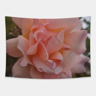 Pink Rose Tapestry