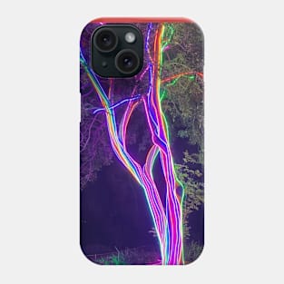 Botanical Garden Lights, San Diego Phone Case