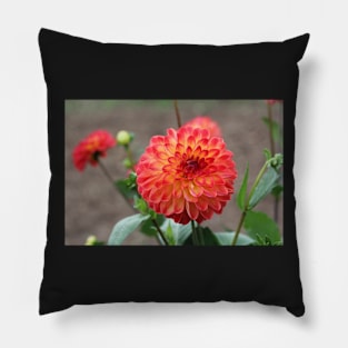 Coral Pom Pom Pillow