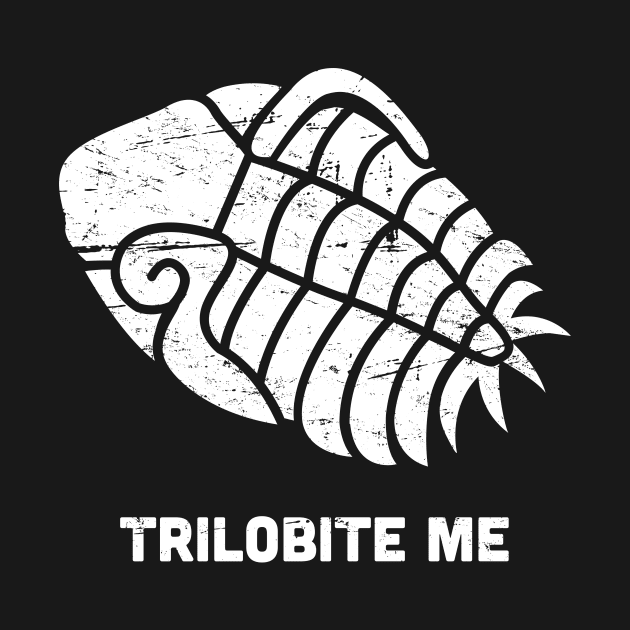 Trilobite Fossil by MeatMan