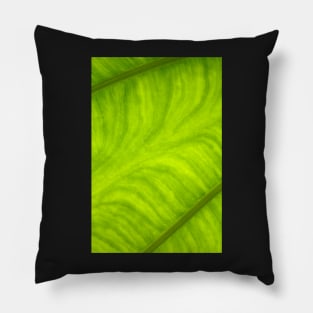 Taro Leaf Pillow