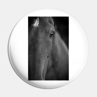 Horse soul Pin