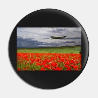 RAF Nimrod Poppy Pass Pin