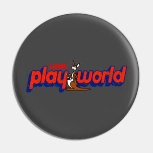 PlayWorld - Distressed Pin