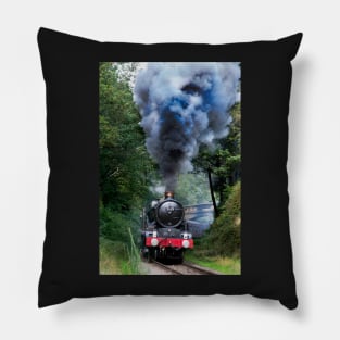 5029 Nunney Castle Pillow