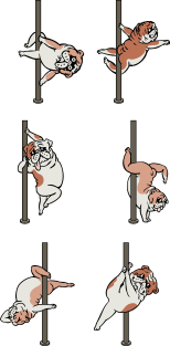 Pole Dance English Bulldog Magnet