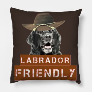 Labrador Friendly Pillow