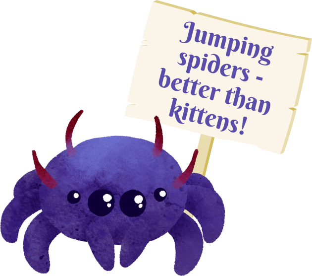 Funny Cute Jumping Spider Dad or Mum Fan Kawaii Pet Sign Kids T-Shirt by Witchy Ways