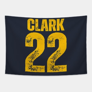 22 - Caitlin Clark backprint Tapestry