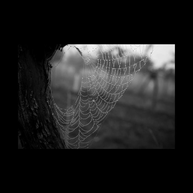 Spiderweb Necklace by Elusive Edamame