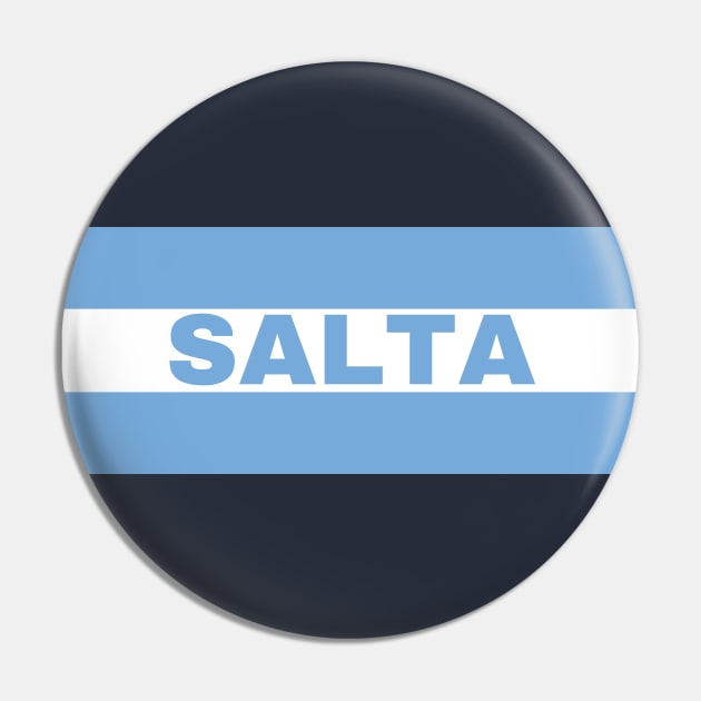 Salta City in Argentina Flag Pin by aybe7elf