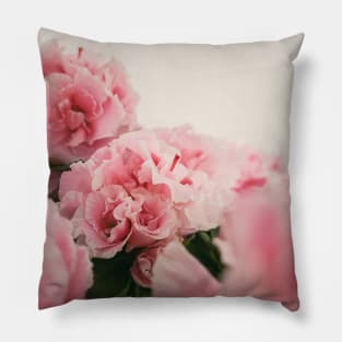 Close up Azalea flowers Pillow