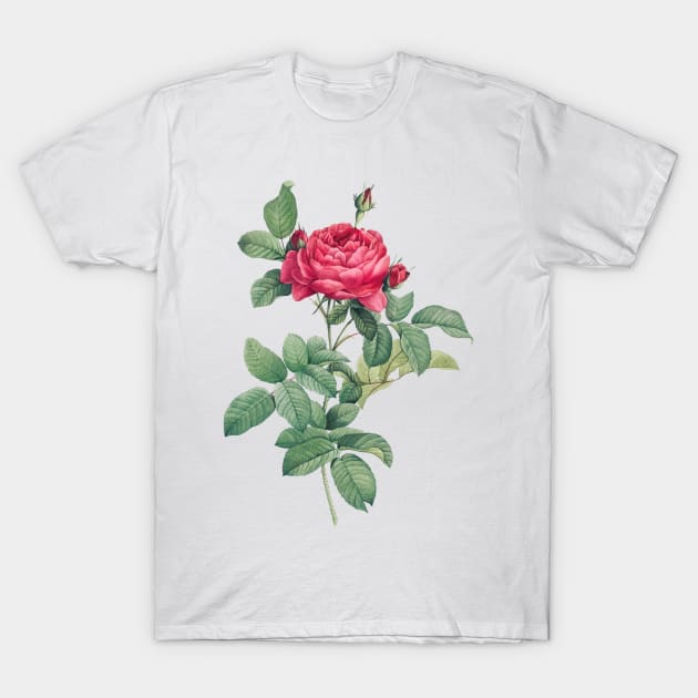 Red Rose Flower T-Shirt Red Rose Flower T-Shirt