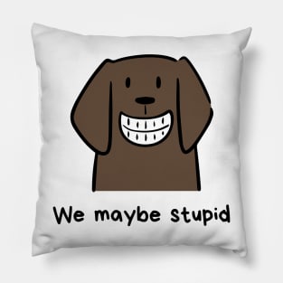 We maybe stupid Pillow