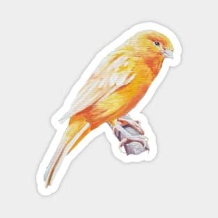 Canary Intermission - perched canary painting (no background) Magnet