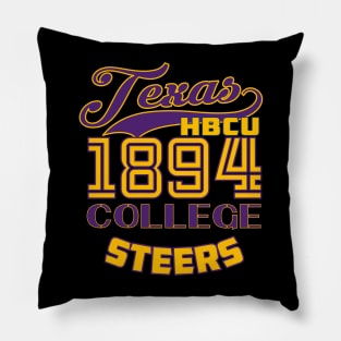 Texas 1894 College Apparel Pillow