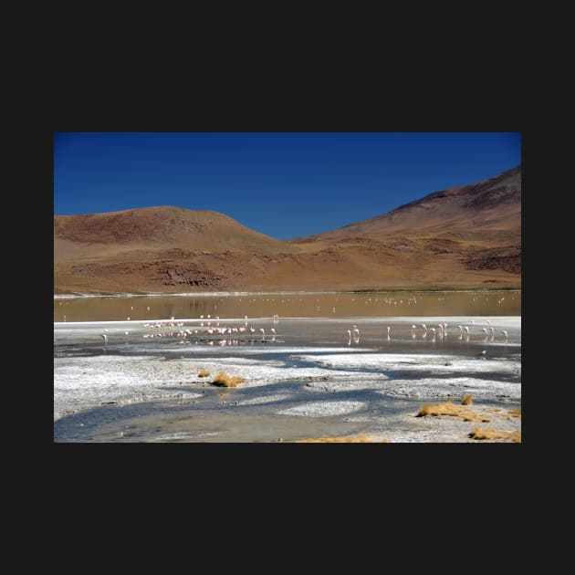 Bolivie - Salar d'Uyuni by franck380