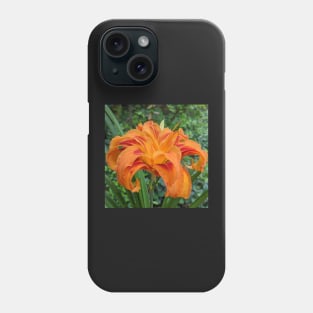 Orange Lily Side View Photographic Image Phone Case