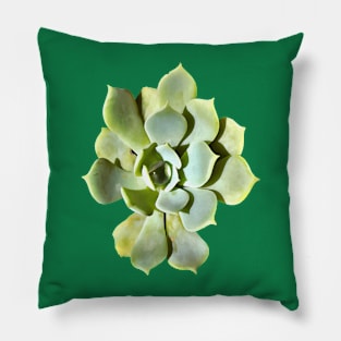 Succulent Echeveria Garden Plant Cut Out Pillow