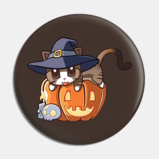 Brown Stripped Cat on a Pumpkin Pin