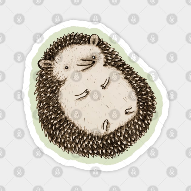 Plump Hedgehog Magnet by Sophie Corrigan