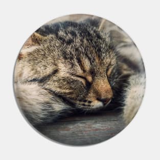 sleeping cat Pin