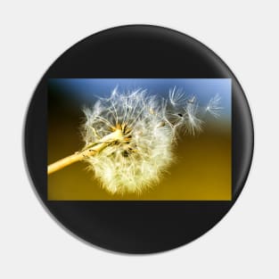 Dandelion Clock Seeds Pin