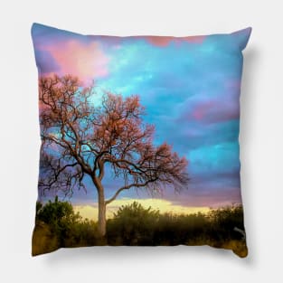 The Painted Sky Pillow