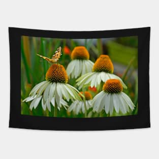 White Swan Echinacea with Butterfly Tapestry