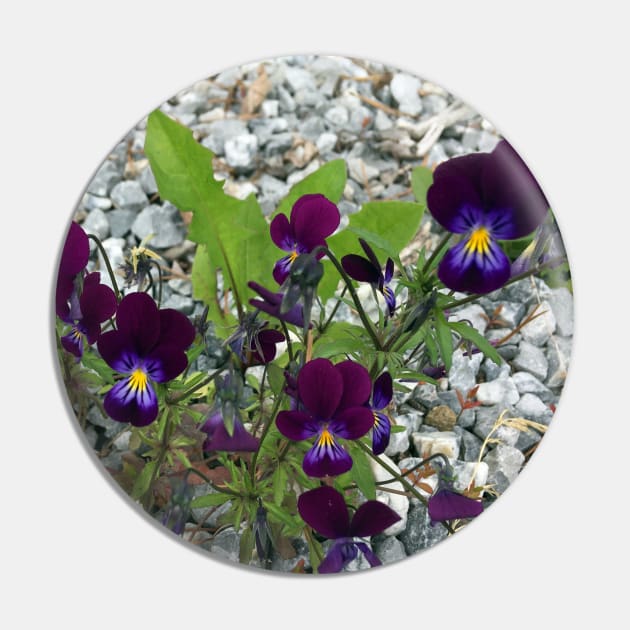 Violets and Gravel Pin by Ric1926