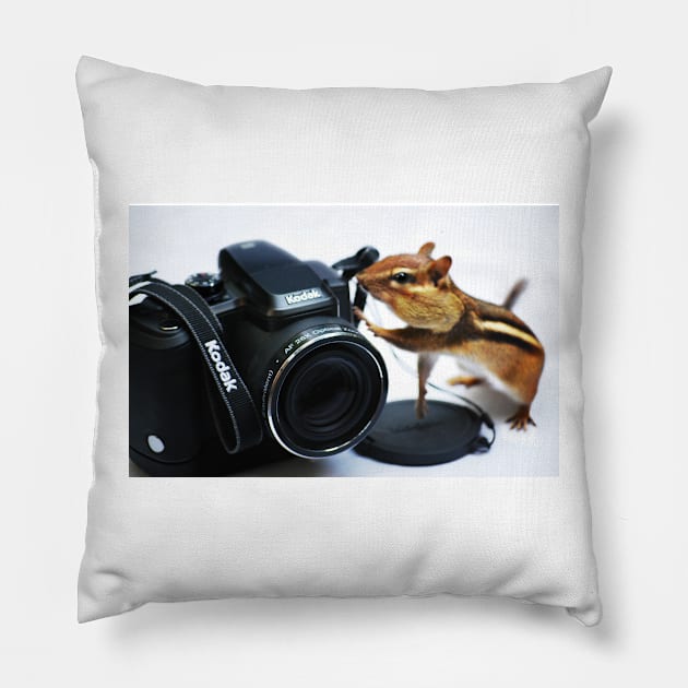 Rule #2:  "Adjust The Focus" Pillow by LaurieMinor