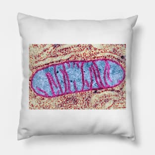 Mitochondrion, TEM (G465/0069) Pillow