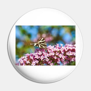 Jersey Tiger Moth feeding Pin