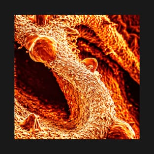 Mushroom in SEM (orange) T-Shirt