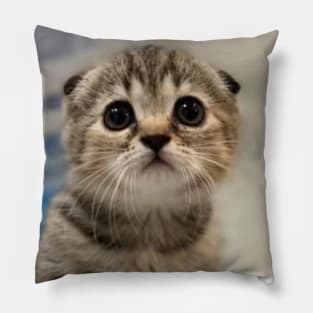 the little cute cats Pillow