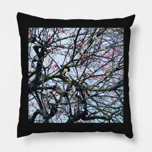 Magnolia Pillow