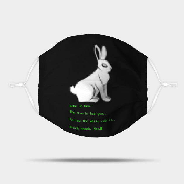 wake up neo follow the white rabbit